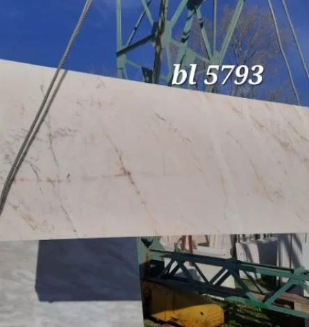 Rosa Portogallo bl 5793