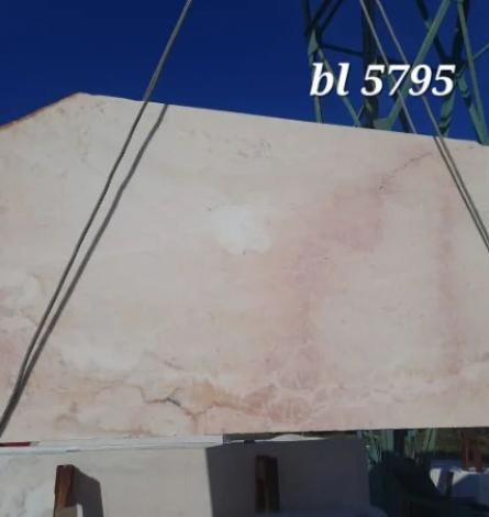 Rosa Portogallo bl 5795